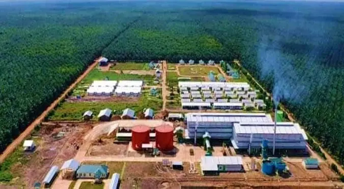 Emiten TP Rachmat (TAPG) Kantongi Dividen Interim Anak Usaha Rp786M