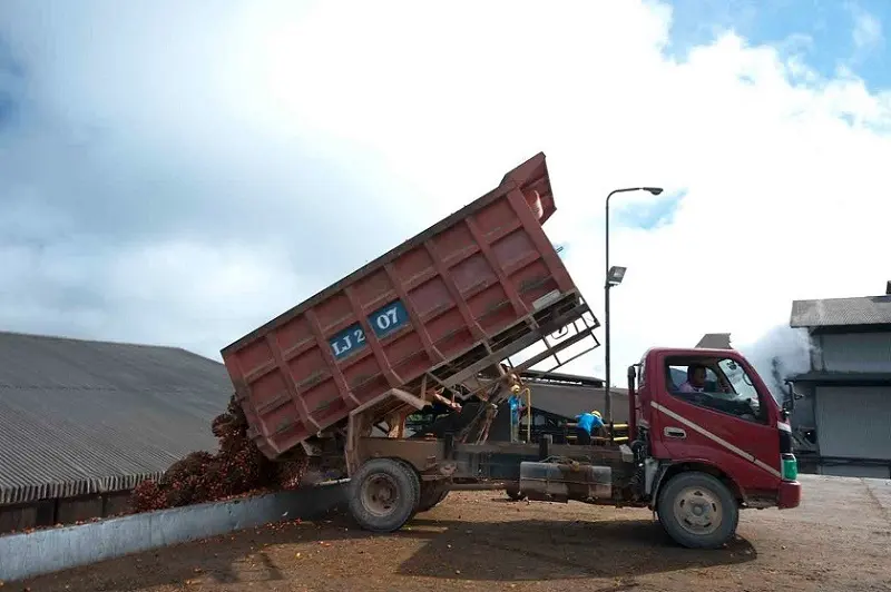 Emiten Sawit TP Rachmat (DSNG) Panen Cuan Jumbo Rp1,8T di 2025