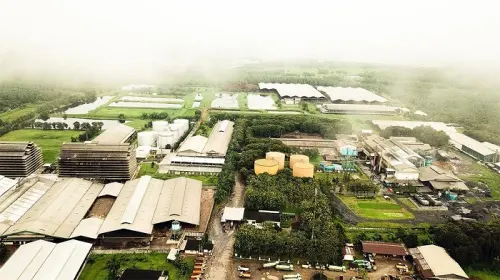 PNGO Tetapkan Dividen Final Nihil, Interim Rp171,88M Jadi Dividen 2025